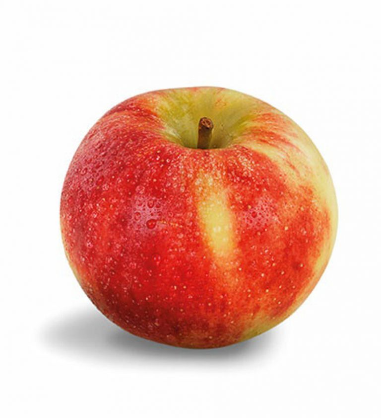 Elstar appel nieuwe oogst uit achterhoek(per stuk) Groenenfruitig.nl Elstar appel nieuwe oogst uit achterhoek(per stuk) Groenenfruitig.nl