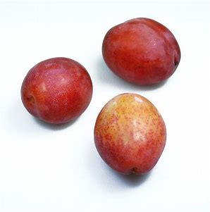 Pruim Reine Victoria (per 250 gram)