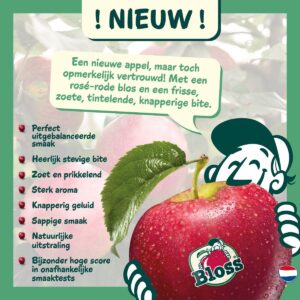 Bloss nieuwe appel Nederland